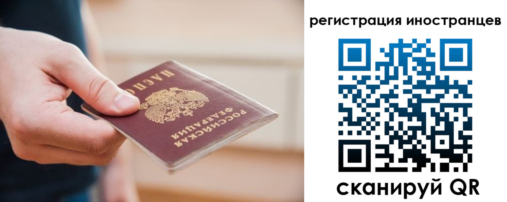 прописка гарантия в Читинской области
